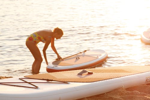 Photo of Paddleboard on Seashore