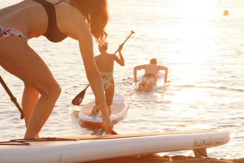 Free Back view of full length unrecognizable people in swimwear using paddleboards on waves in back lit Stock Photo