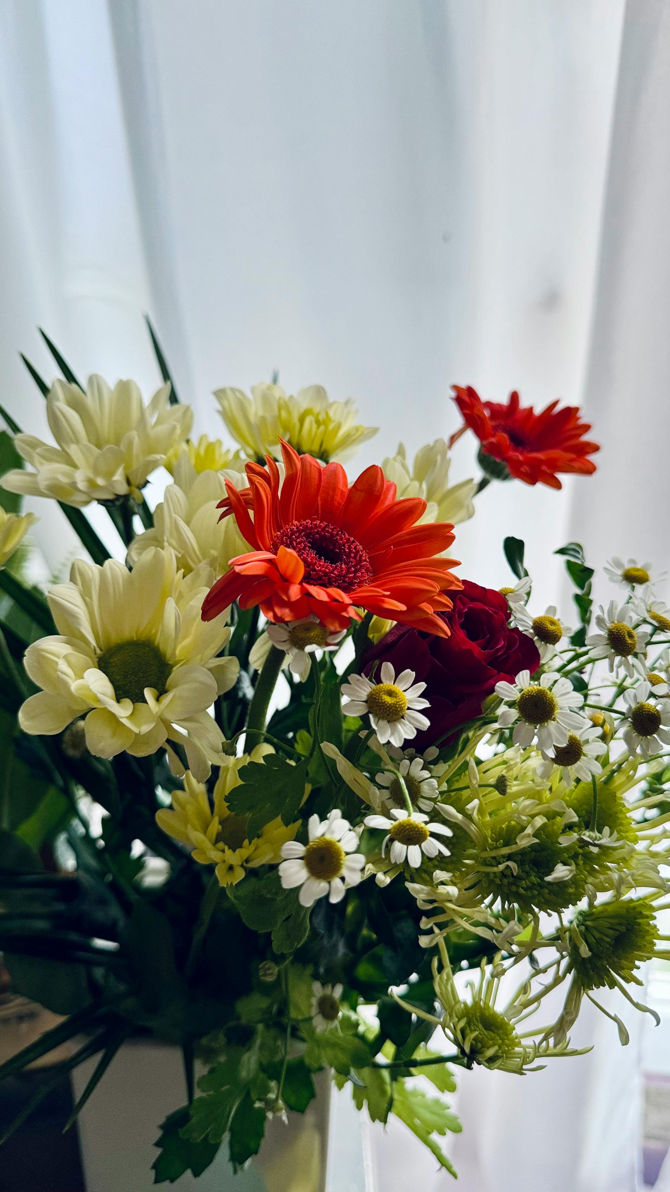 [ColoSach]-colorful-bouquet-of-gerbera-daisies-and-daisies-against-a-soft-background.