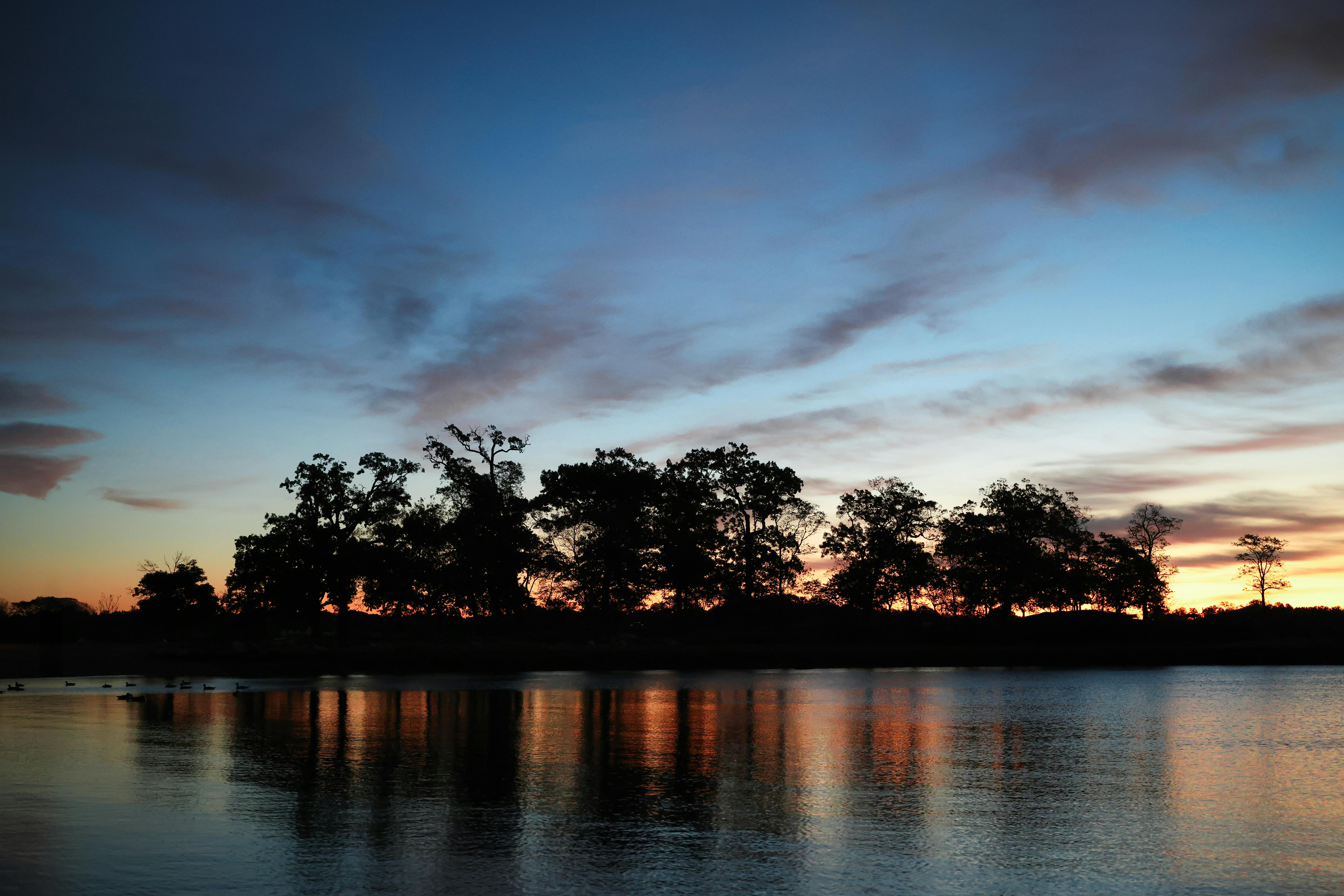 A peaceful sunrise view of Cove Island Park in Stamford, showcasing silhouettes of trees against the morning sky.