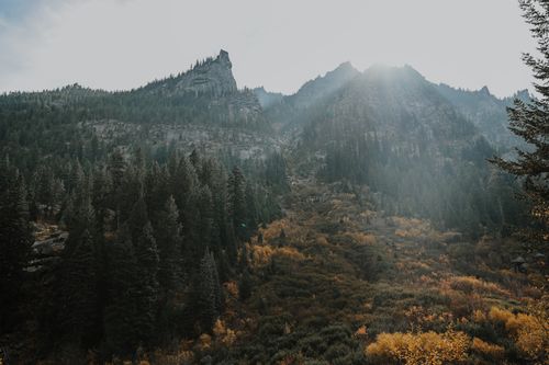 Free Breathtaking mountain landscape with dense forests and autumn colors under soft daylight. Stock Photo