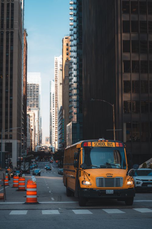 Free A yellow school bus navigates downtown amidst city skyscrapers and traffic. Stock Photo