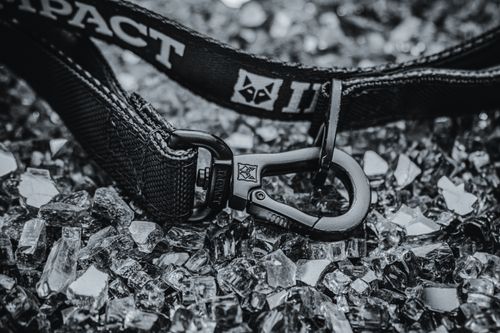 Free Black dog leash with a strong metal clip on shattered glass, showcasing durability. Stock Photo
