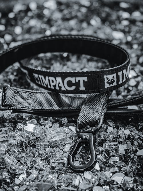 Free A strong and durable Impact dog leash displayed on a bed of gravel, showcasing quality design. Stock Photo
