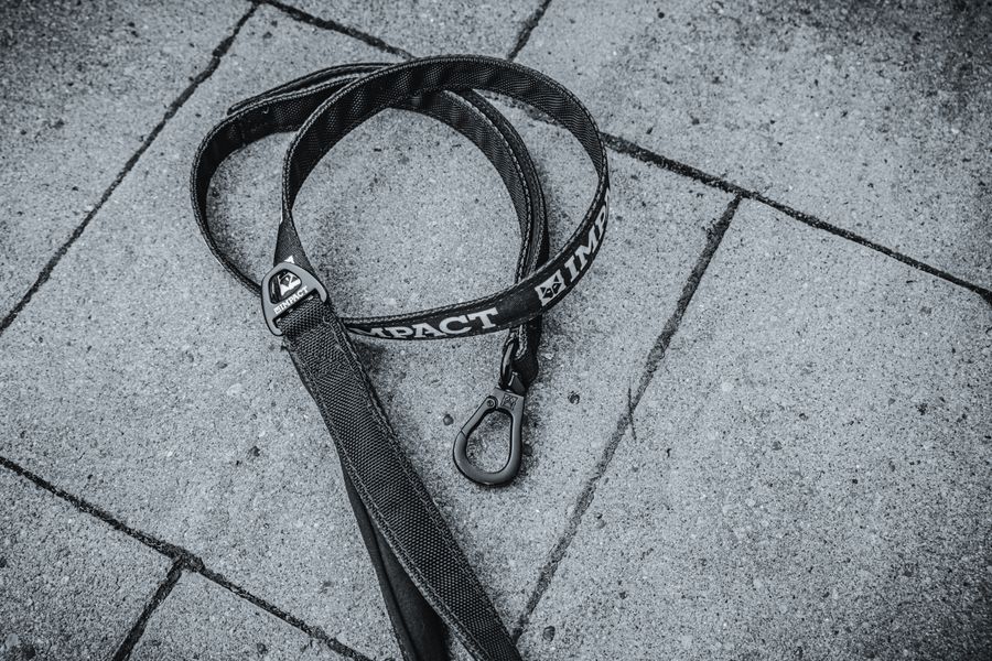 Premium Control Leash