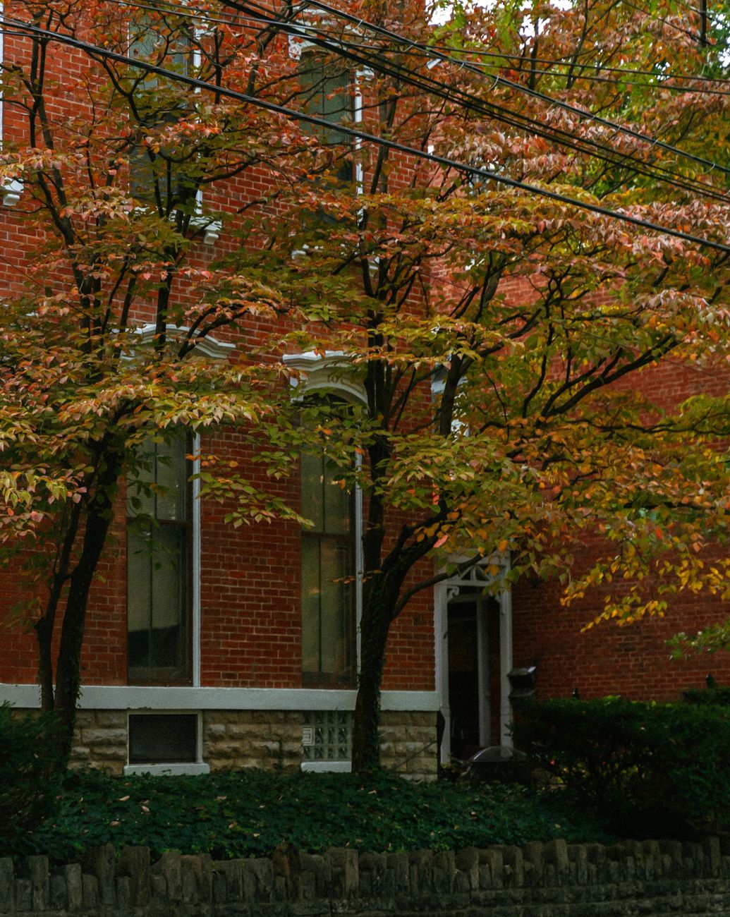 Vibrant fall foliage against a historic brick building in Covington, KY.
