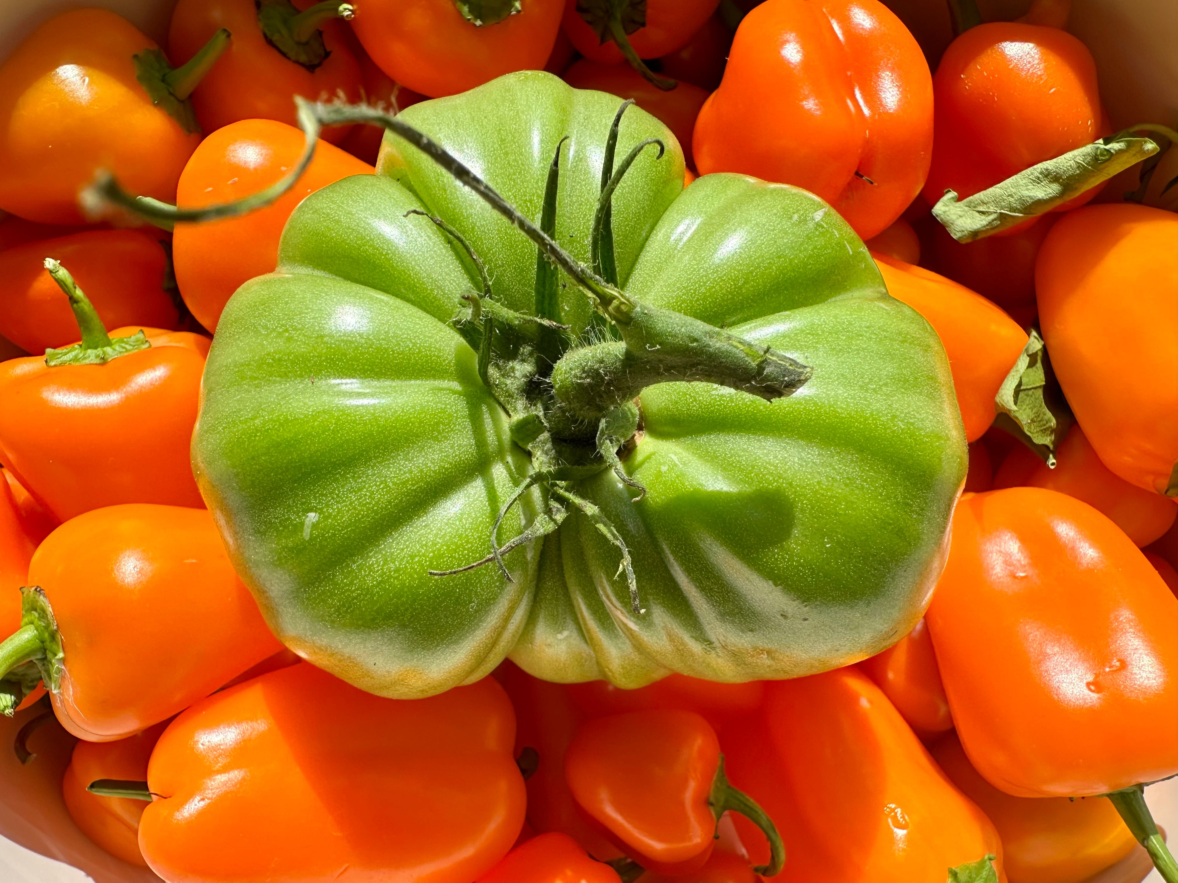 Vibrant Green Tomato on Orange Peppers · Free Stock Photo