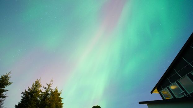 Vivid Northern Lights illuminate the sky next to a forest and modern building.