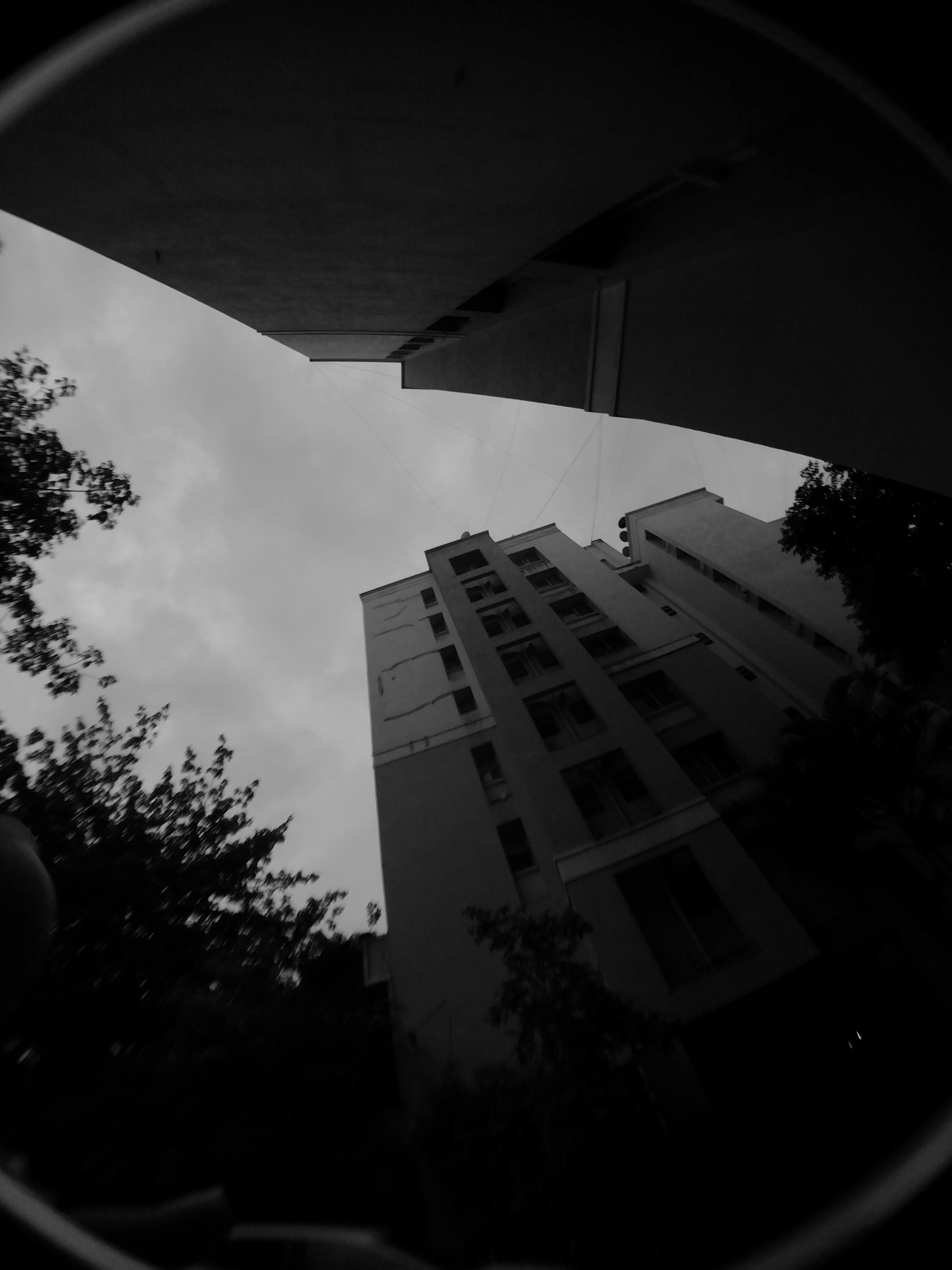 这张黑白照片采用低角度拍摄，展现了高耸的建筑，天空格外引人注目