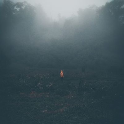 Field Notes Vol. 2 cover — photo by Gagaz Adam on Pexels