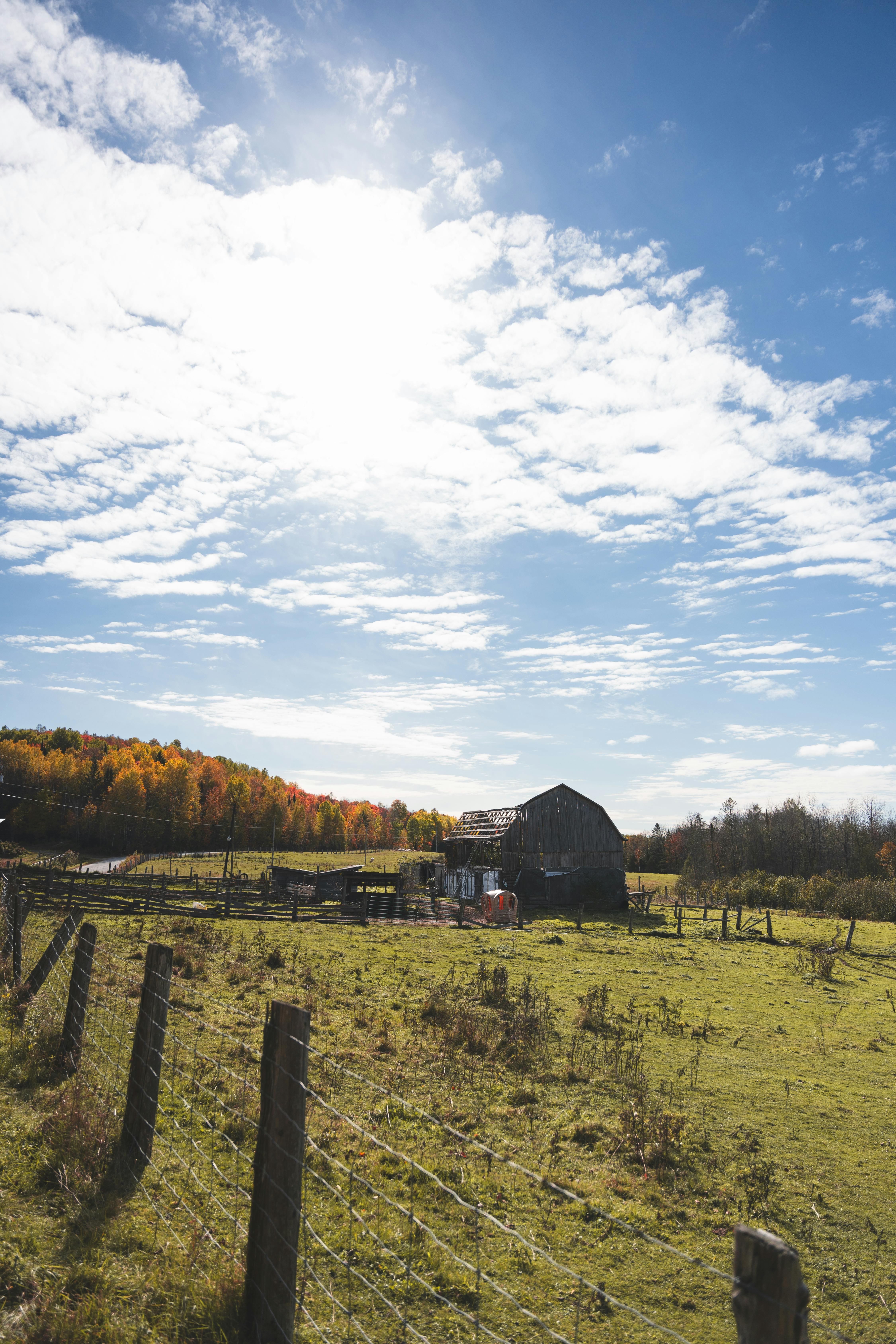 Memahami Properti `margin-inline` dan `padding-block`