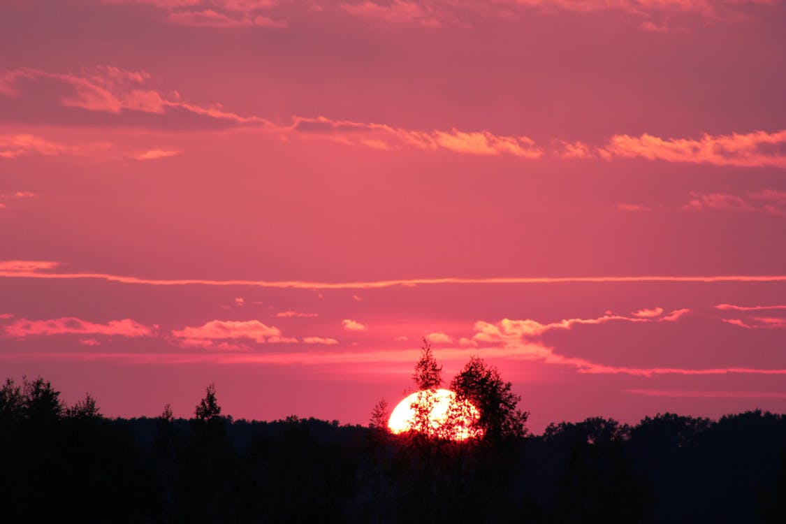 Free Person Showing Sunset Scenery Stock Photo