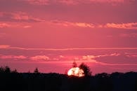 令人惊叹的日落、充满活力的粉红色天空与树木的轮廓共同构成了一幅戏剧性的景观