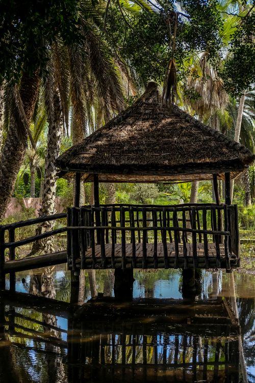 Free A rustic gazebo with a thatched roof stands by a serene pond surrounded by palm trees. Stock Photo