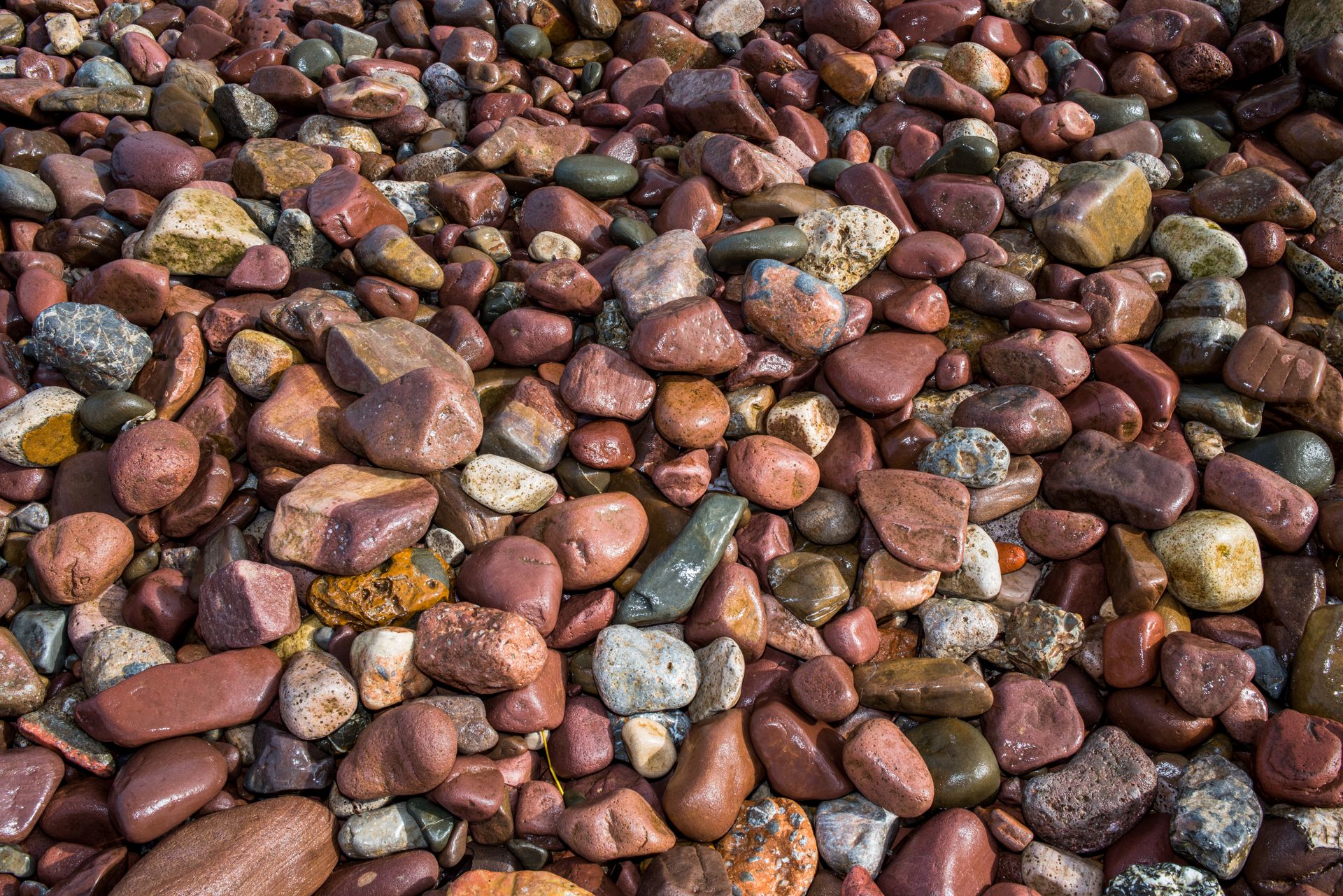 Colorful and smooth river rocks with various textures and shades, captured closely outdoors.