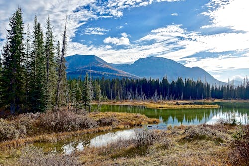 Lake in the Middle of Trees