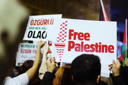 Free Protesters holding signs advocating for Palestine freedom at a rally. Stock Photo