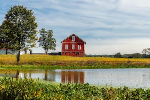 Brown Barn Beside Tree