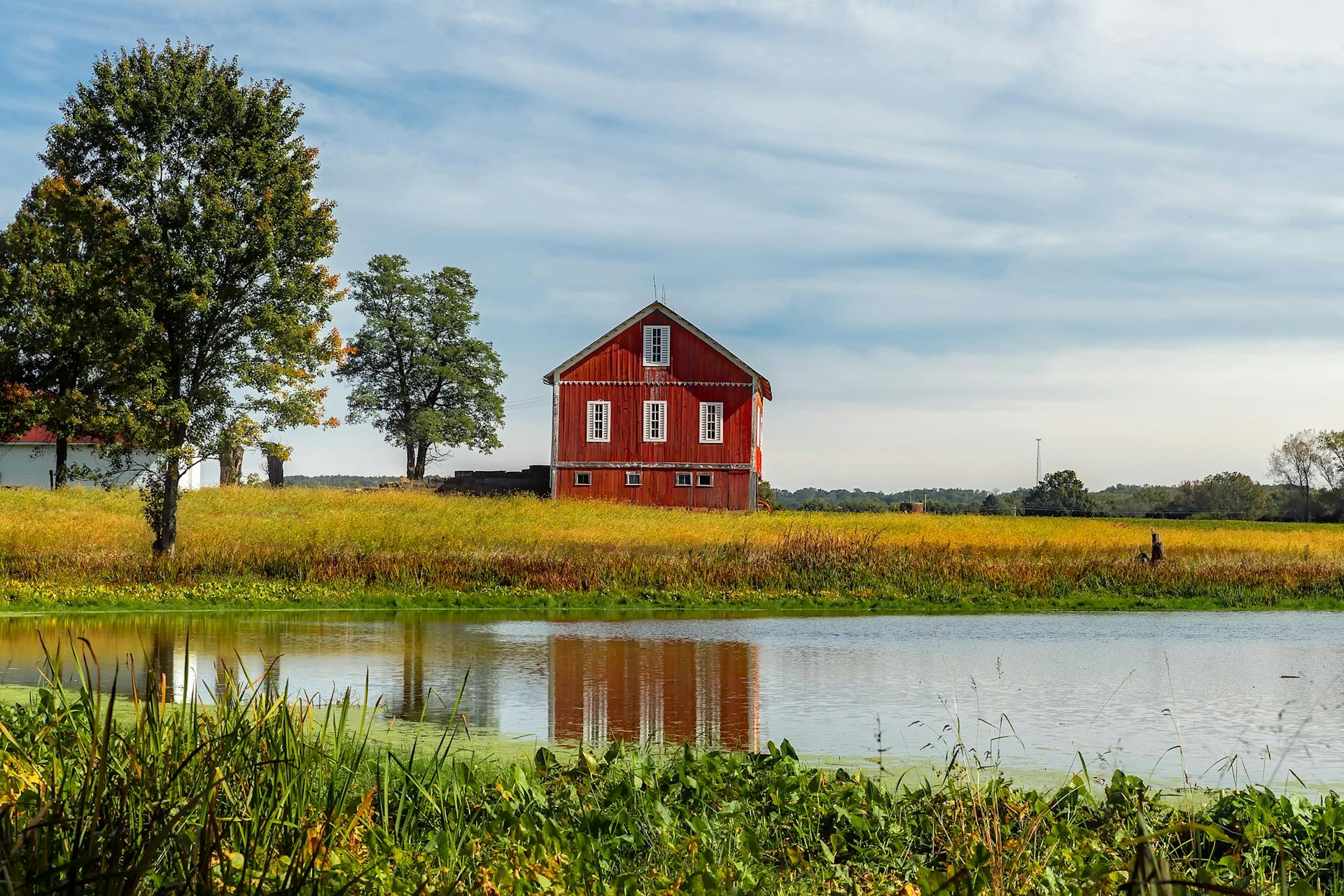 Brown Barn Beside Tree