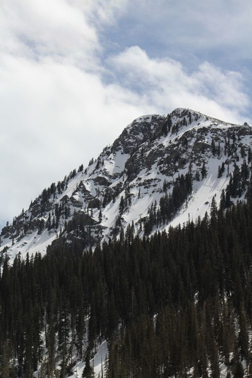 Free Majestic snow-covered mountain peak with dense pine forest below. Stock Photo