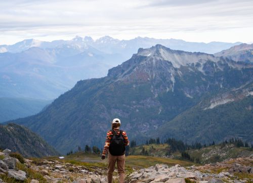 Free A hiker enjoys a breathtaking view in Mount Rainier National Park, Washington. Stock Photo