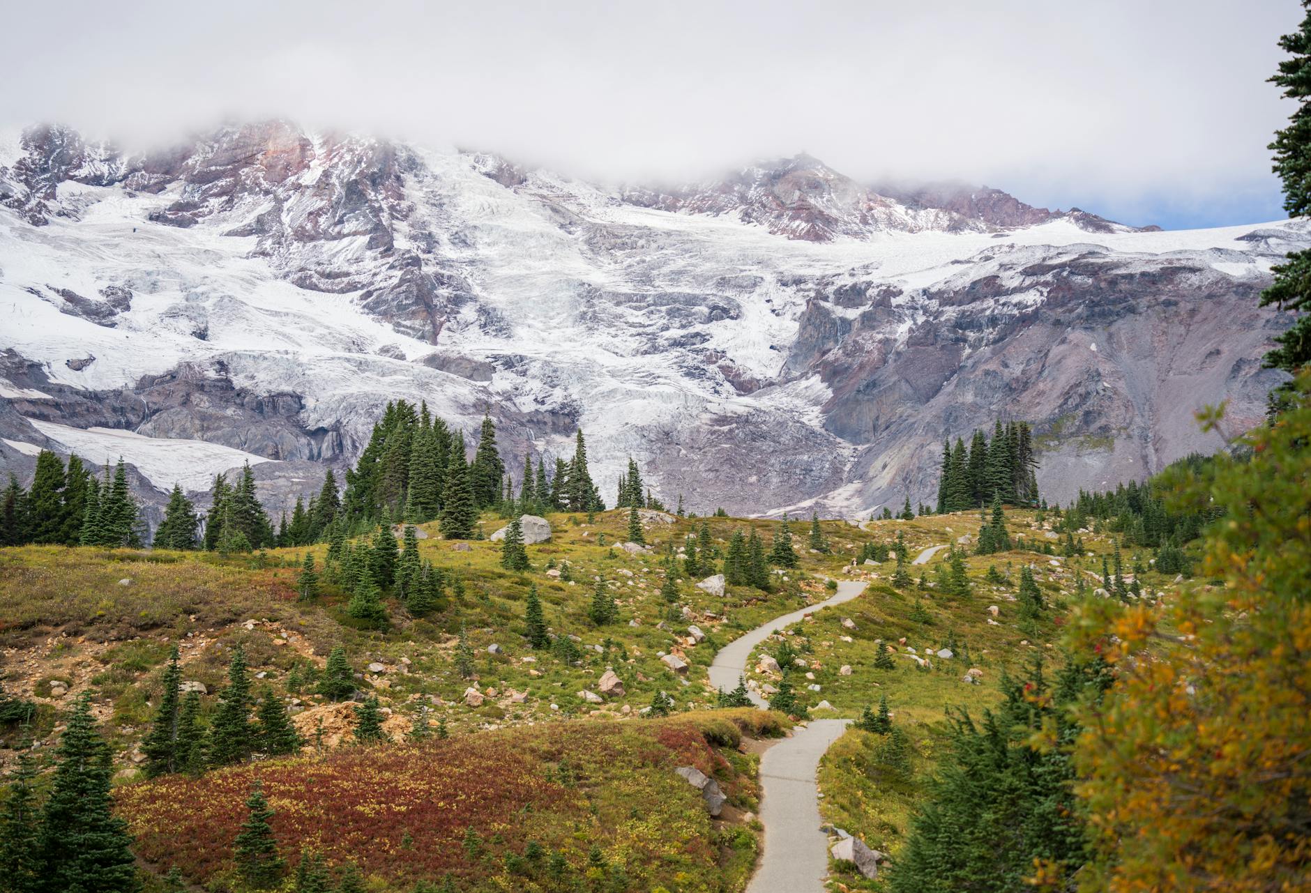 Airport transfers in Mt Rainier National Park Airport transfers in Mt Rainier National Park