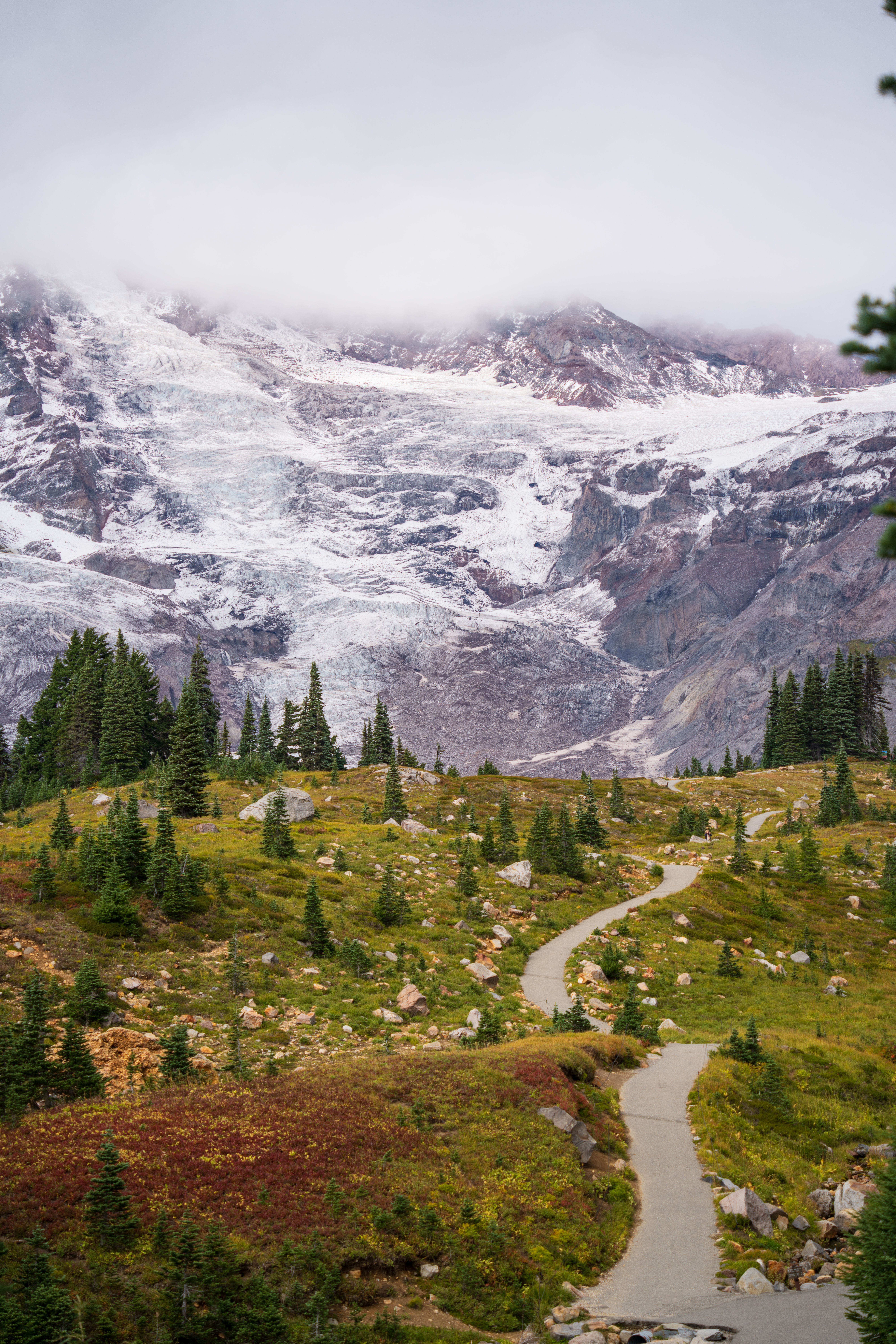 Wildflower meadow and mountain views at Mount Rainier National Park
