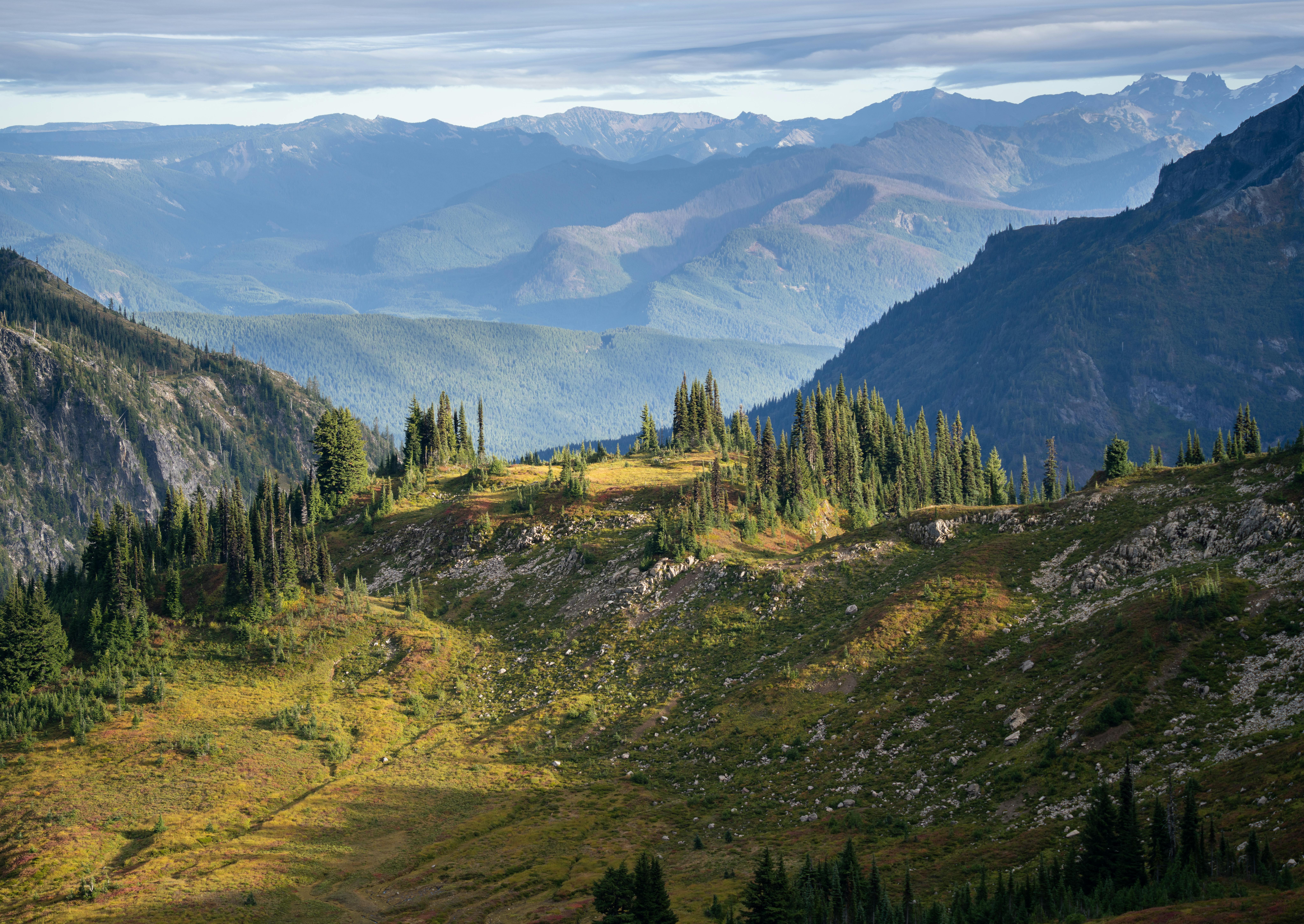 Airport transfers in Mt Rainier National Park