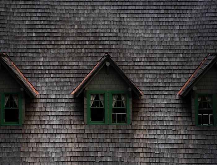 Tampa, Florida residential area with professional roofing