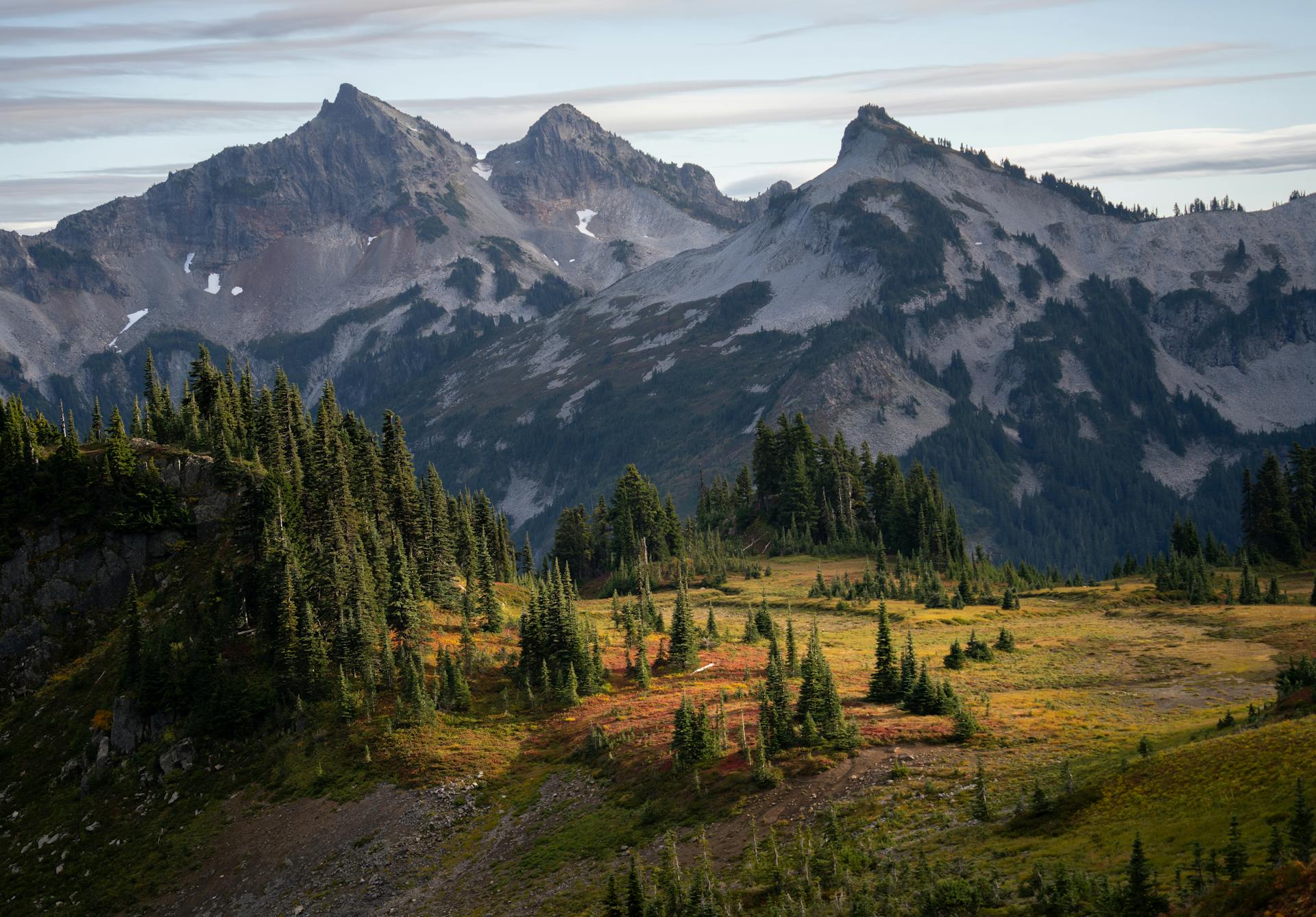 Stunning view of Mount Rainier with alpine meadows and forest in Washington State.