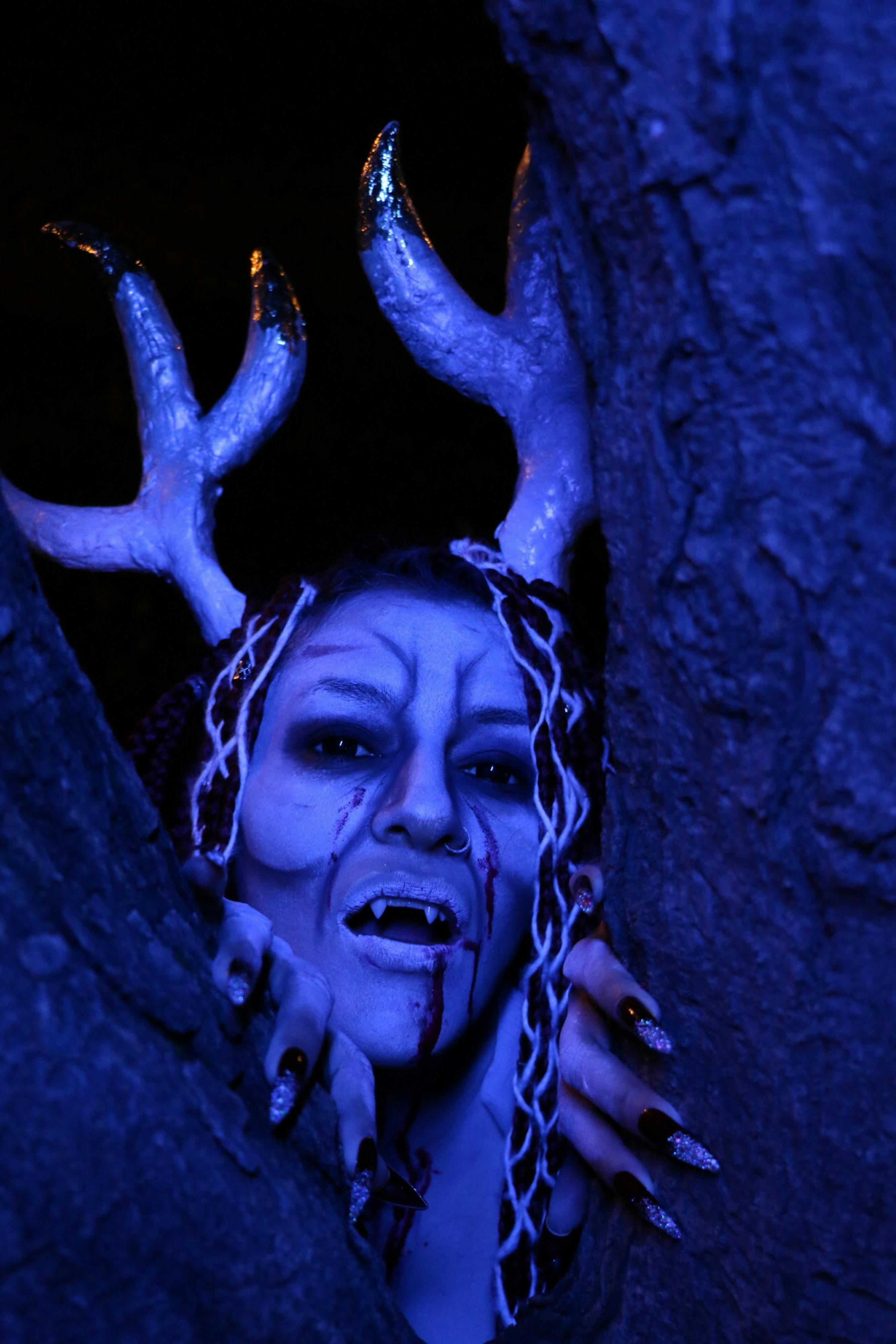 grátis Criatura Mística Com Chifres Em Cena Noturna De Floresta Foto profissional