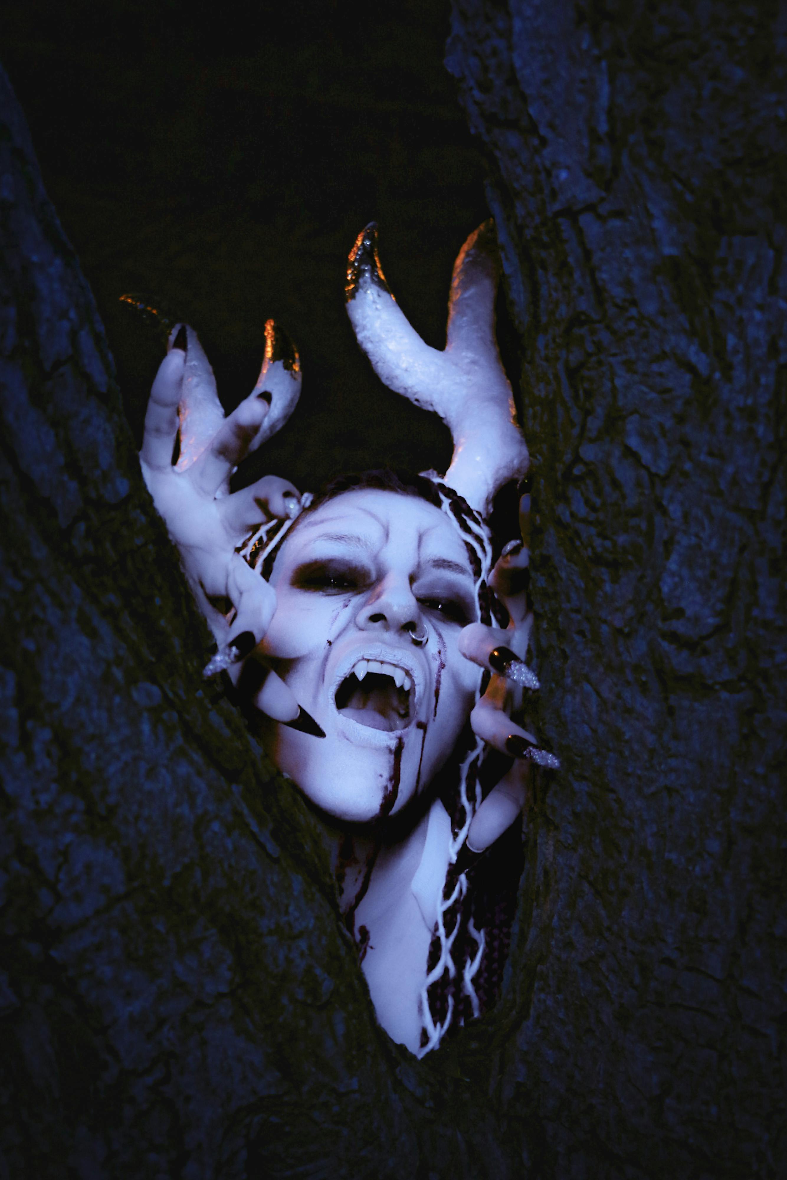 grátis Foto profissional grátis de angústia, arrepiante, árvore Foto profissional