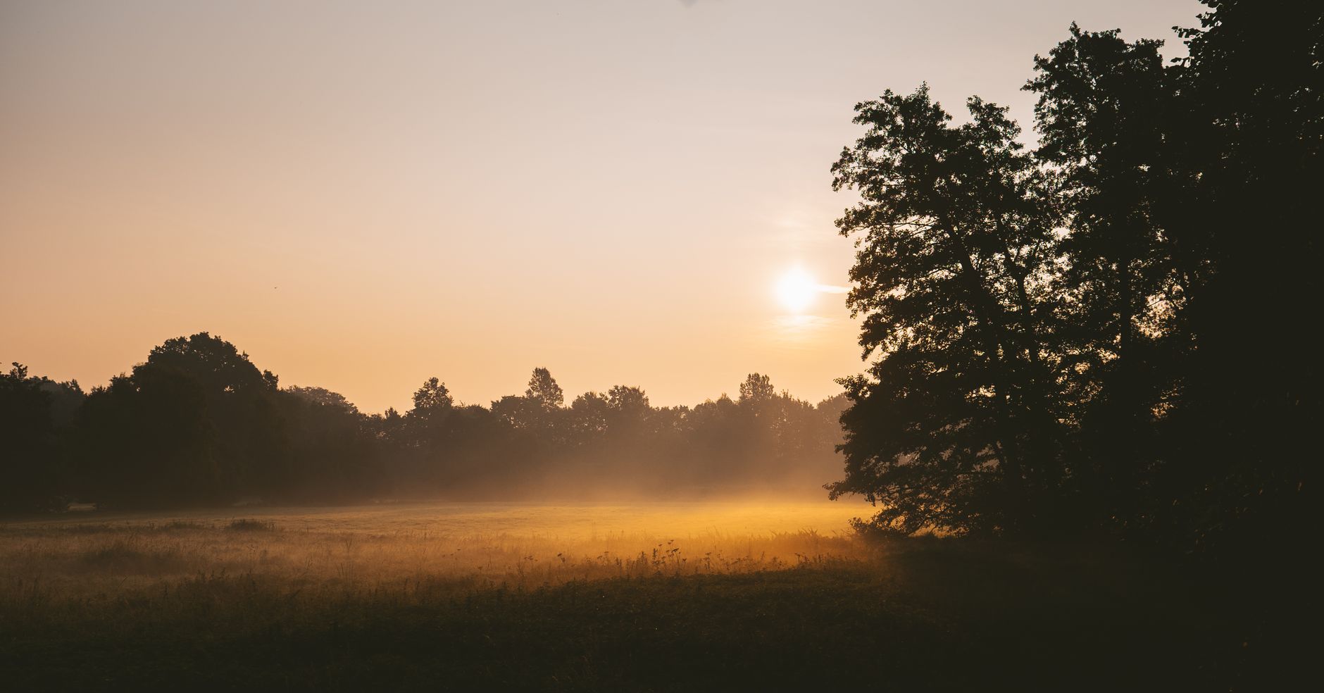 vitamin d3 k2 for mood stability — Golden sunlight and mist create a tranquil sunrise view over a rural field.
