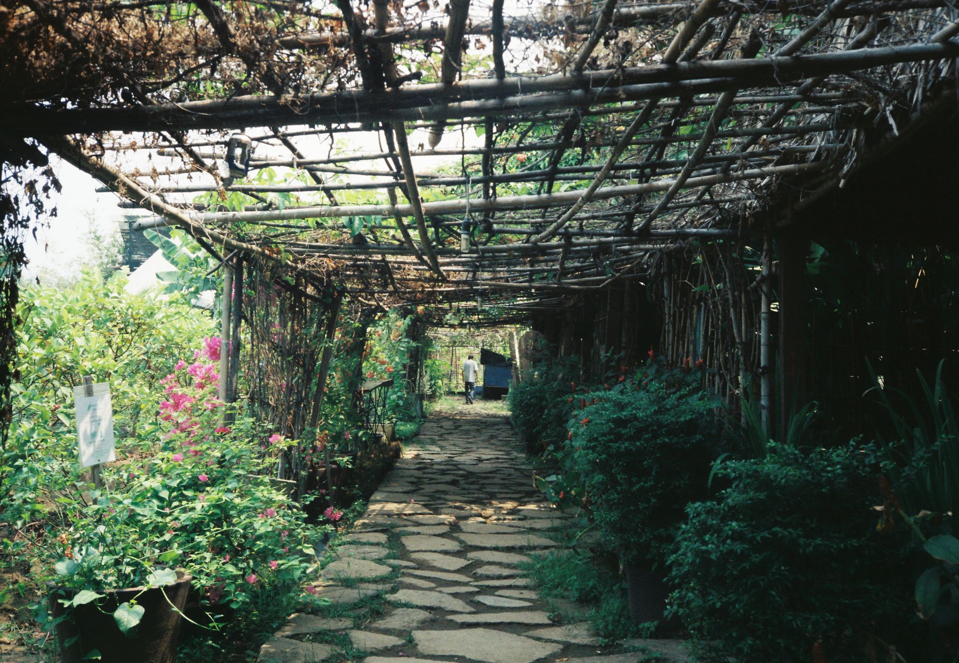 A serene garden pathway with trellis and lush greenery in Ho Chi Minh City, Vietnam.