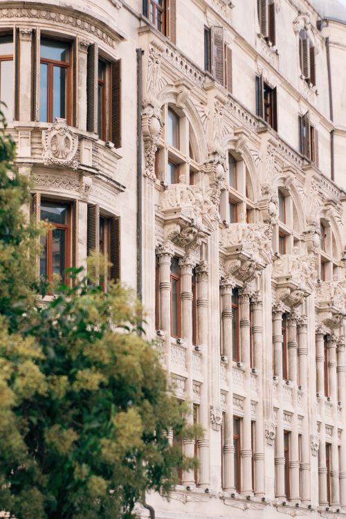 Free Elegant European building facade with intricate architectural details and tree in foreground, perfect for travel and architecture themes. Stock Photo