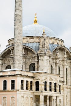 Boru Çiçeği (Datura Bitkisi) Nedir? Nasıl Kullanılır? Faydaları ve Yan Etkileri Nelerdir?