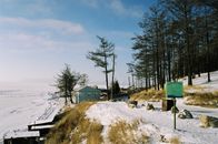 冬日场景迷人，有雪、树木和一座孤独的蓝房子