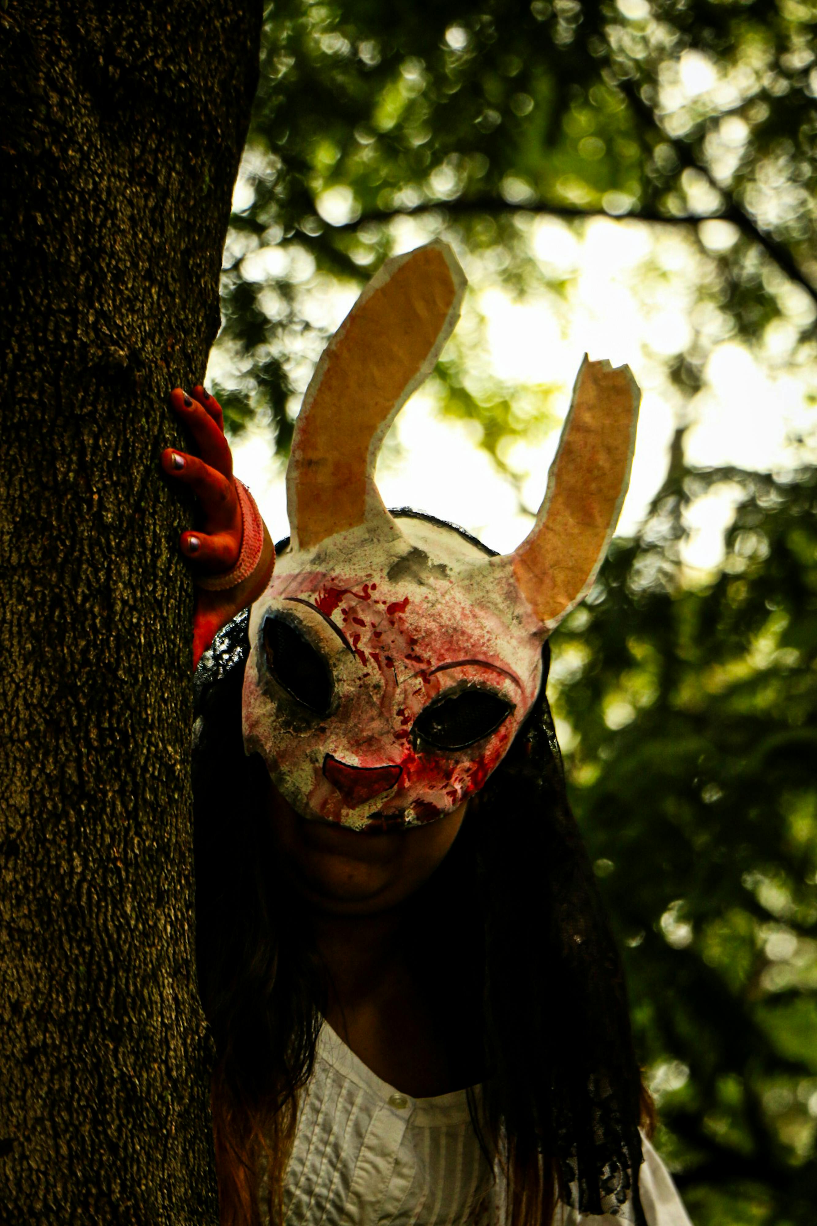 Gratuit Photos gratuites de arbre, caché, conception de costumes Photos