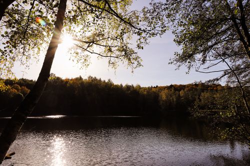 Free Sunlit trees and calm lake capture the essence of autumn tranquility. Stock Photo