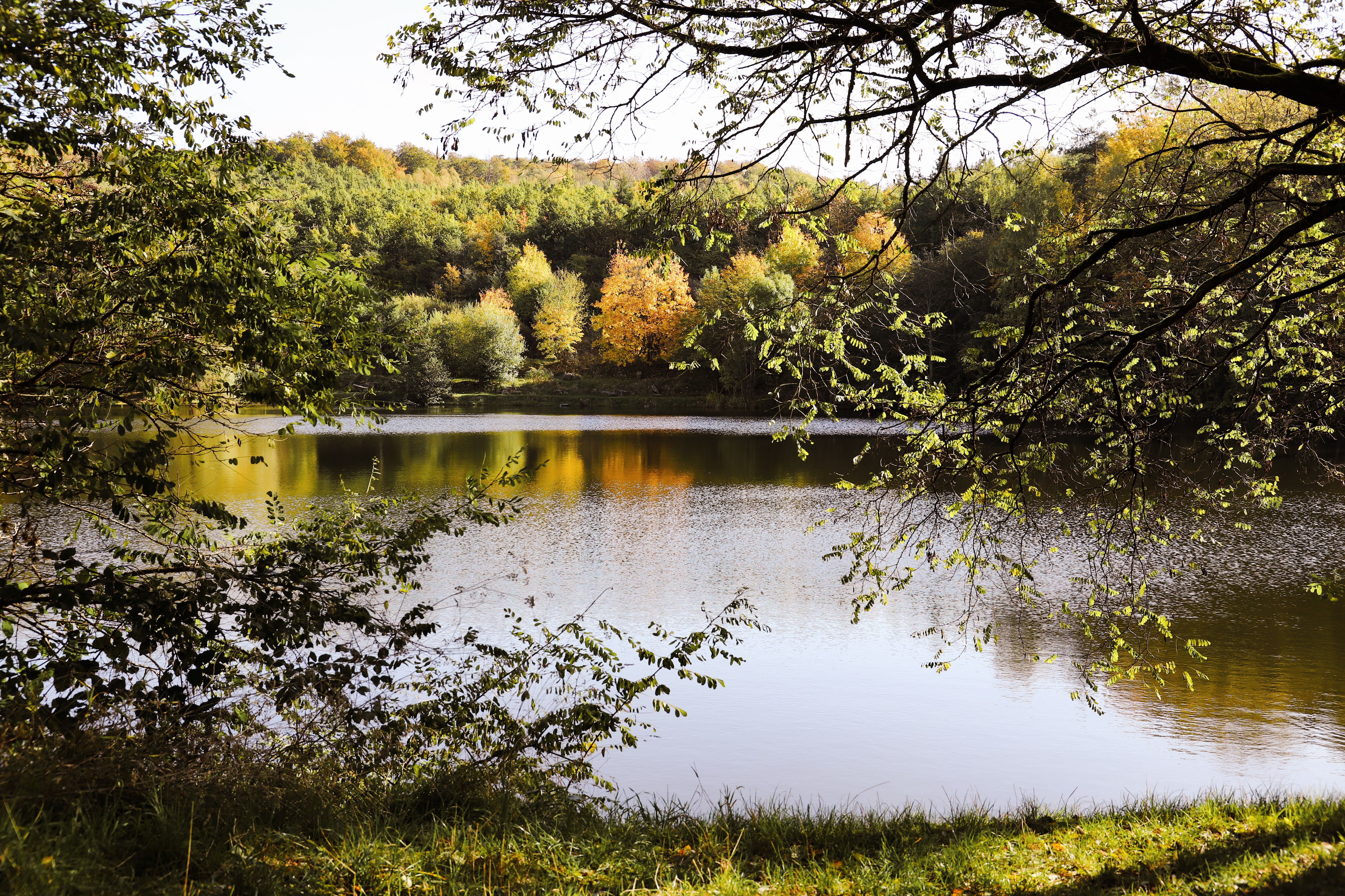 Serene Autumn Lake Landscape with Reflections · Free Stock Photo