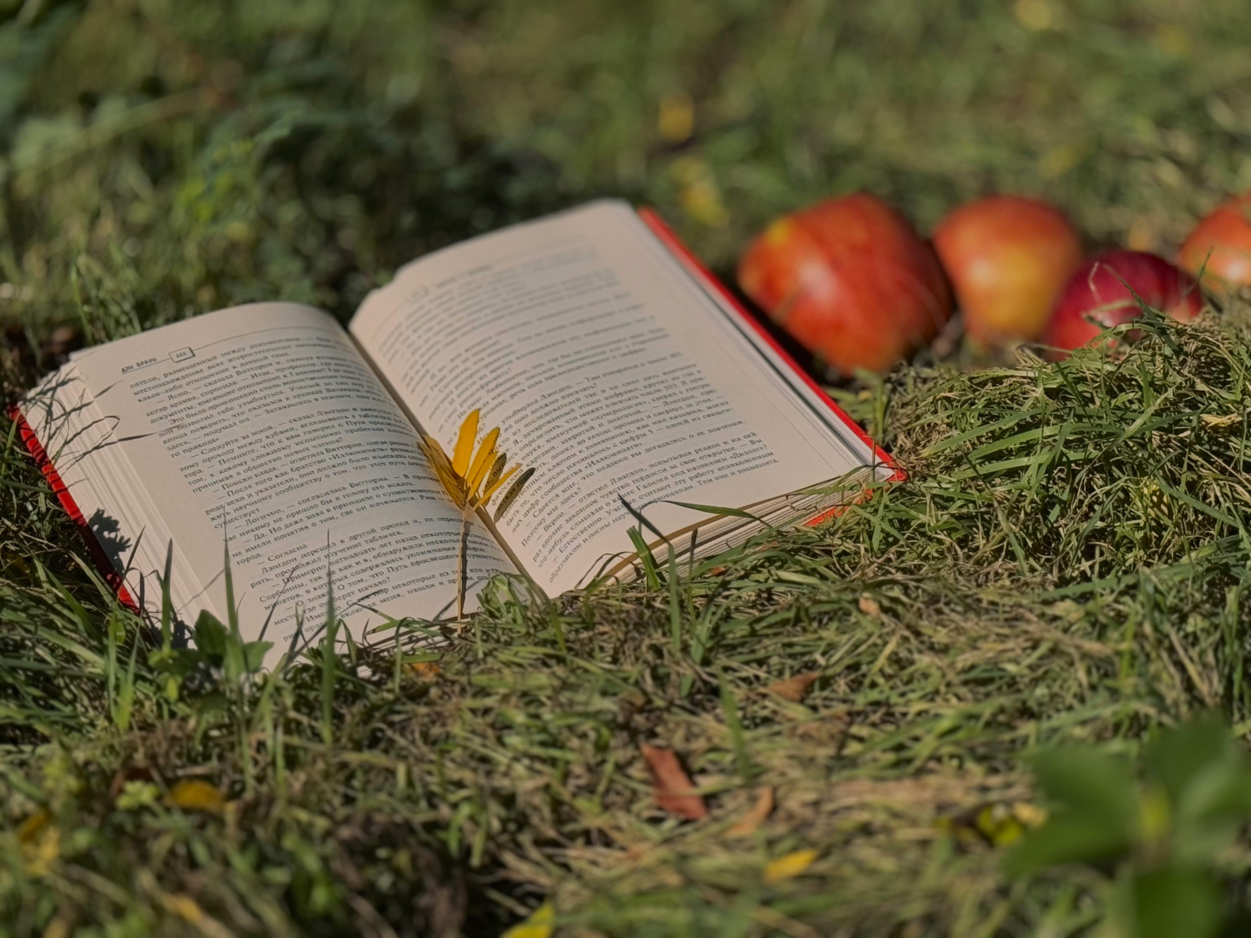 Open Book in Grass with Fall Apples