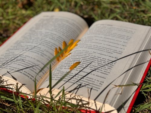 Free An open book lying on grass with yellow leaves and sunlight casting shadows. Stock Photo