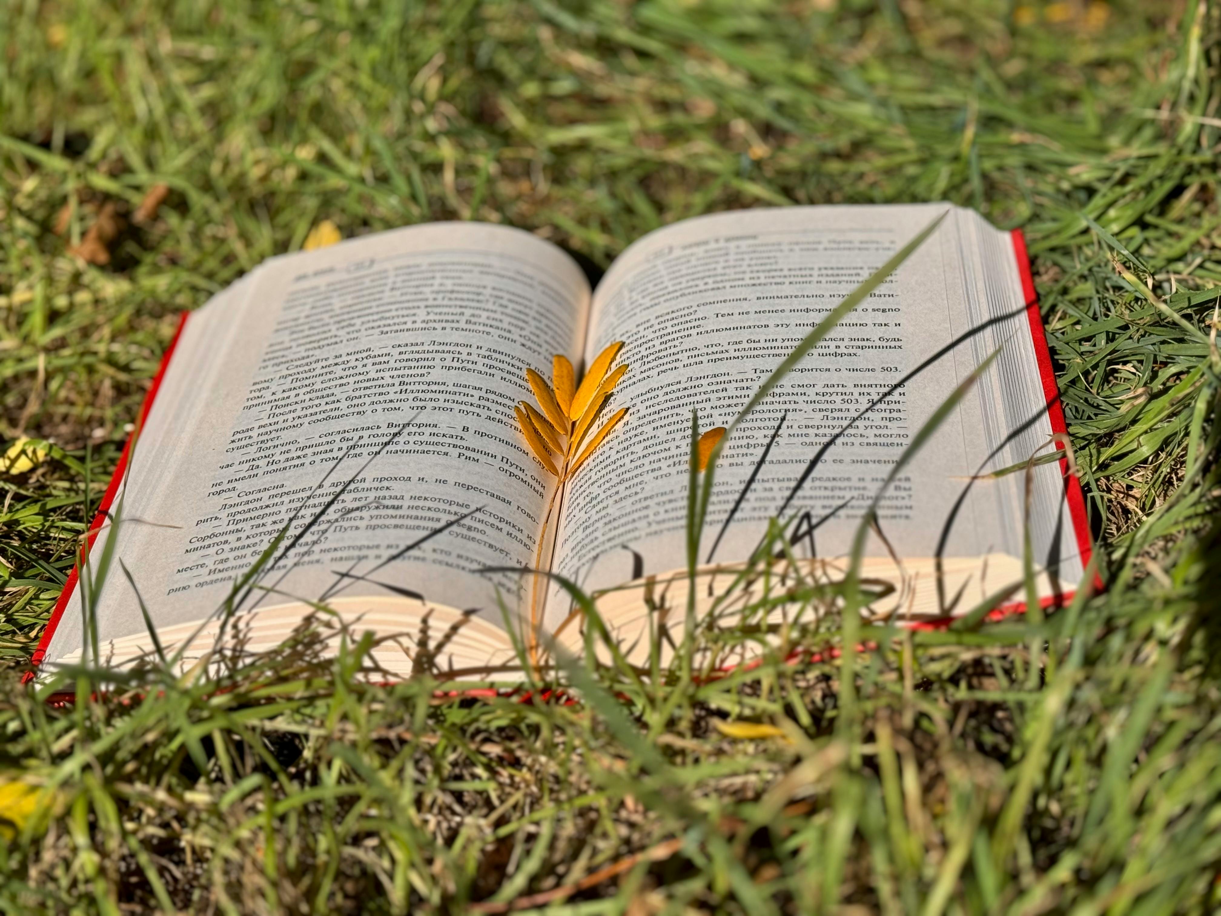 28 Self Development Books To Change Your Life In 2026 — Photo by Violetta Churikova on Pexels