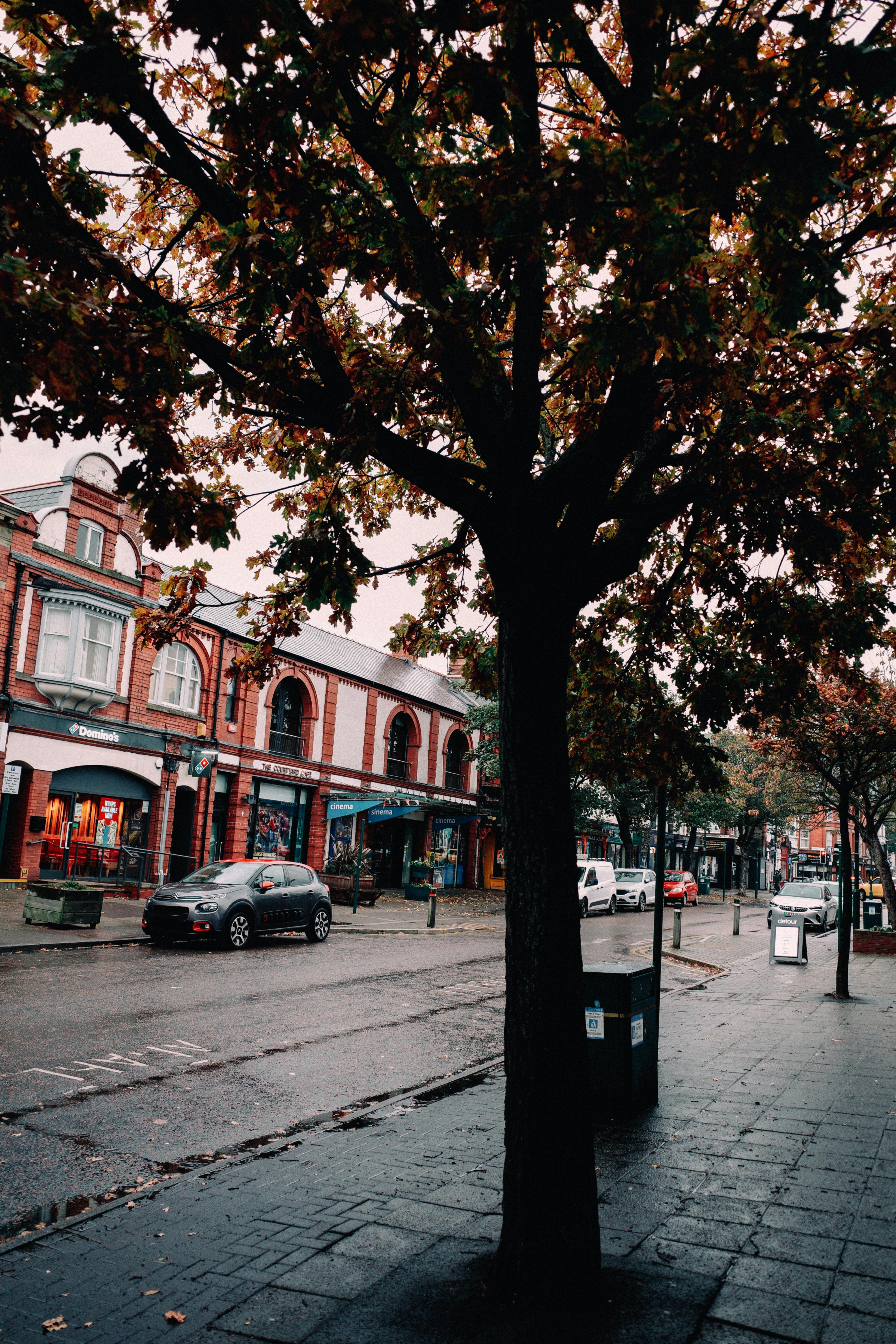 Picturesque street view in Prestatyn, Wales with autumn leaves and charming architecture.