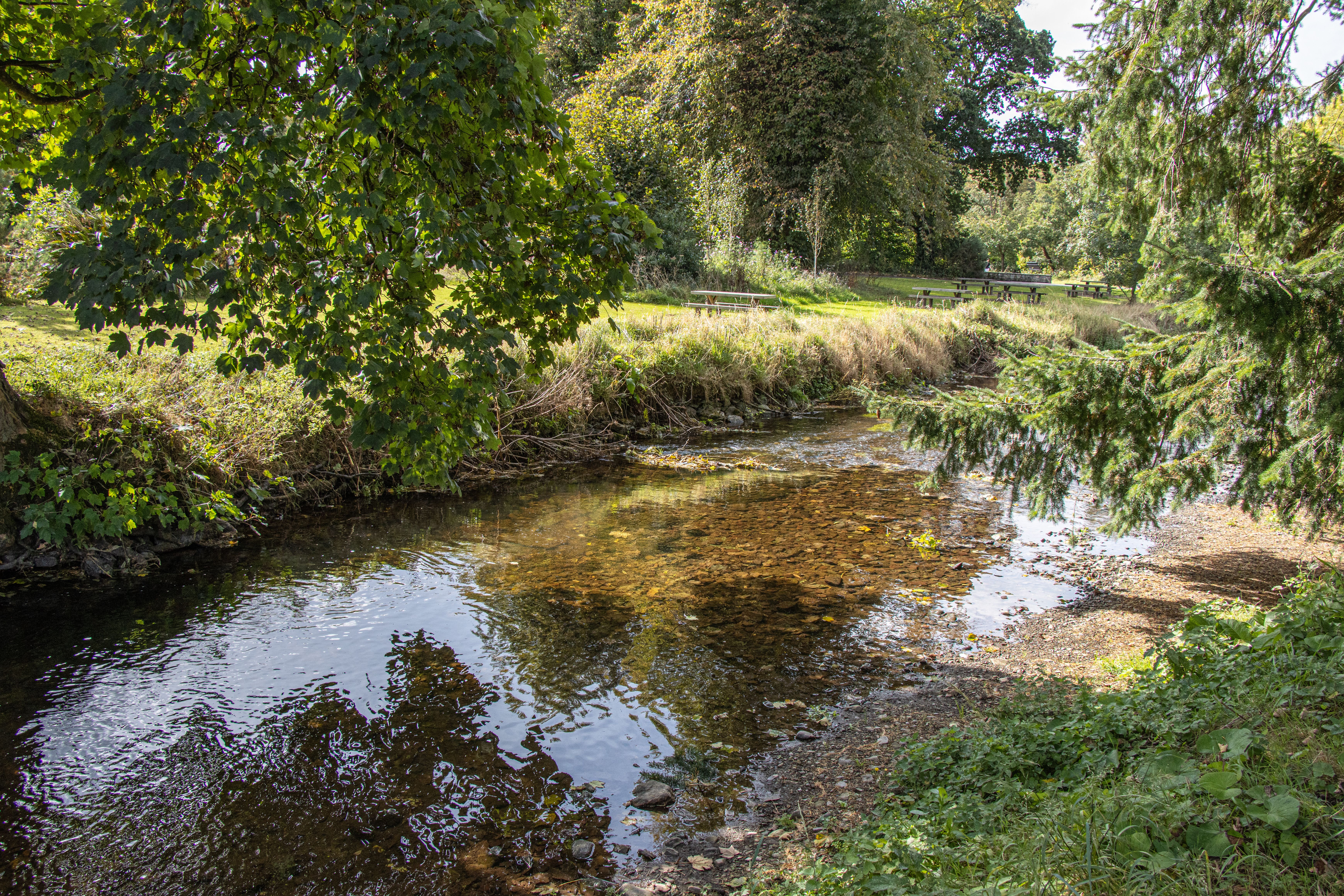 Tranquil riverside scene with lush greenery in County Cork, Ireland.