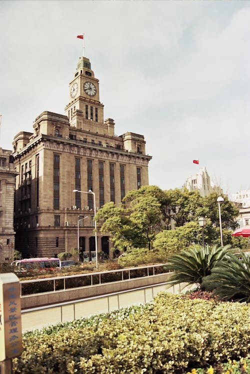 Green-leafed Trees Beside Buildings