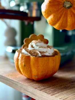 Pumpkin Spice Pumpkin Spice Flavored High Protein Shake