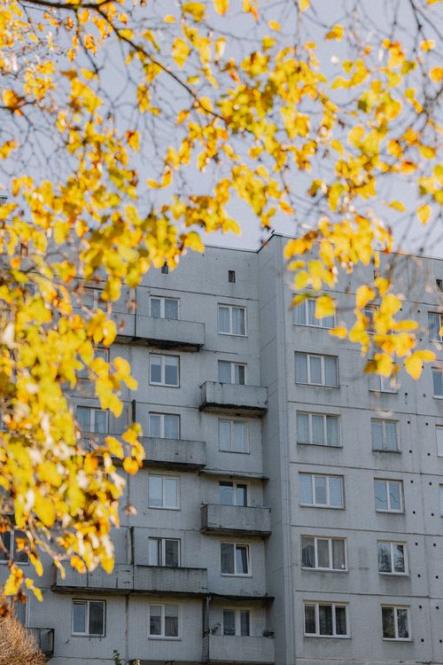 Free Gray apartment building framed by vibrant autumn leaves in urban setting. Stock Photo