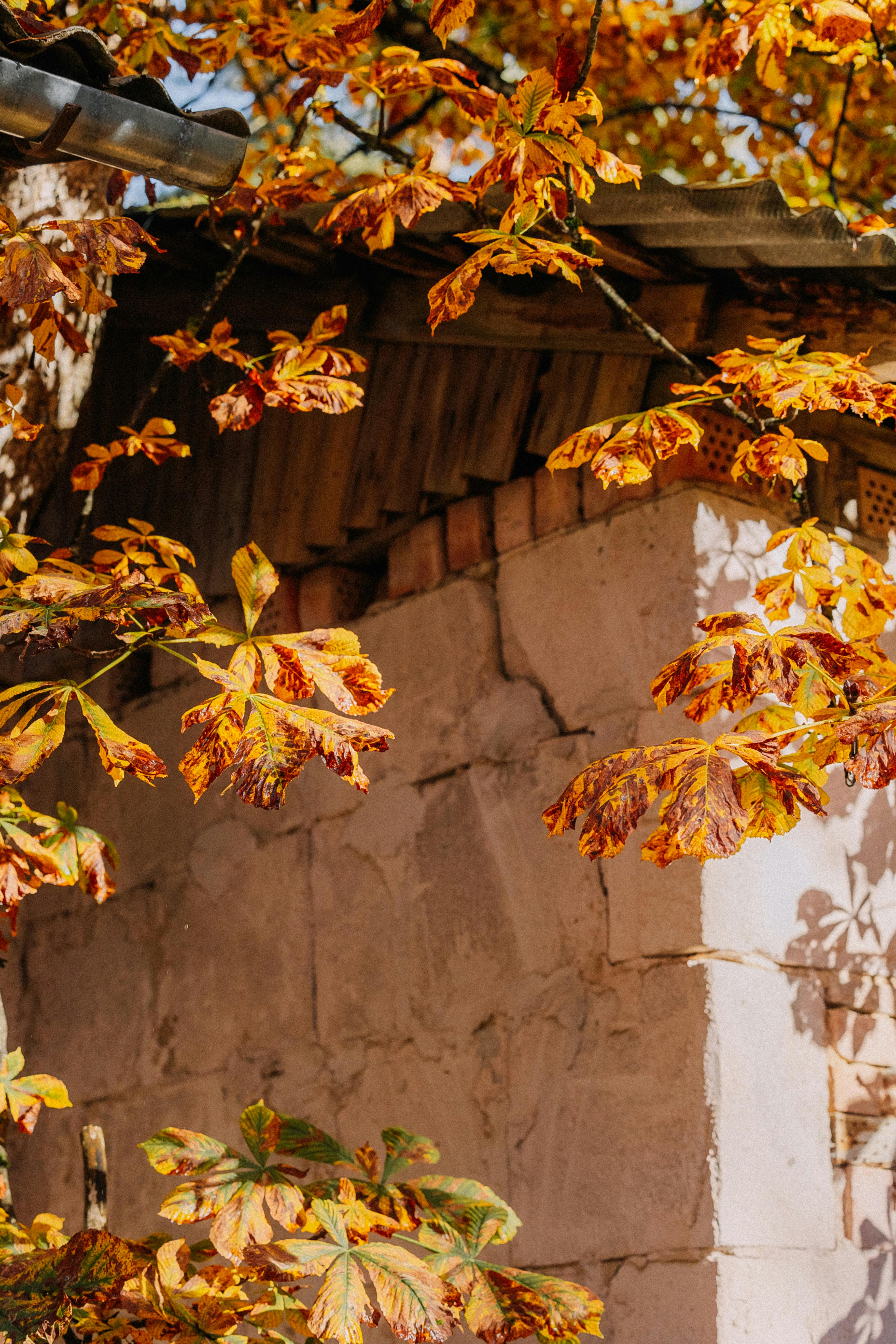 A rustic stone structure surrounded by vibrant autumn leaves creating a serene seasonal atmosphere.