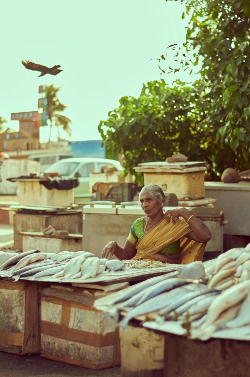 Free Senior woman selling fish at an outdoor market with vibrant surroundings. Stock Photo